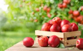 Fresh Red Apples – Crispy & Naturally Sweet