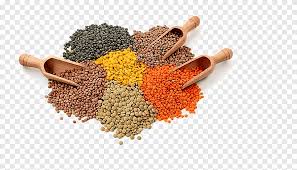Mixed Dal – Protein-Rich Indian Lentils