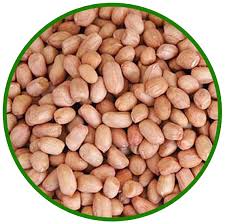 Fresh Groundnuts – Crunchy & Nutritious
